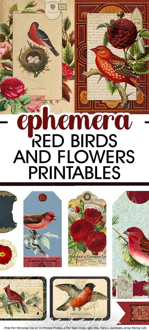 Red Birds and Flowers Ephemera - Free Printable Ephemera Free Daisy Printables, Free Vintage Printables Ephemera, Free Junk Journal Vintage Printables, Free Printable Ephemera, Ephemera Free Printables, Vintage Labels Printables Free, Bird Printables, Psychology Blog, Journal Printables Free