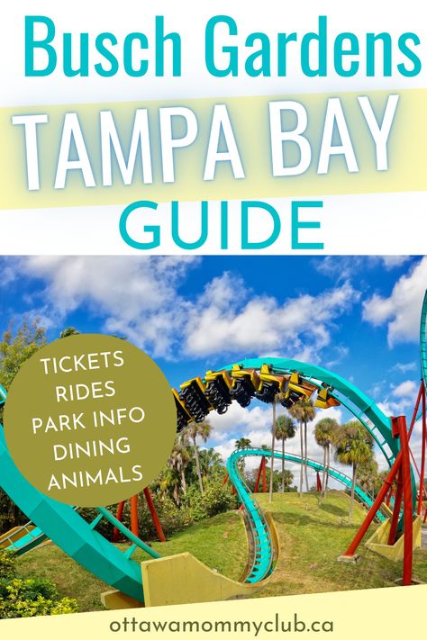 This Busch Gardens Tampa Bay Guide will give you an overview of the rides, dining, ticket options, park information, and animal tours. #buschgardens #travel #travellingusa #buschgardensrides #buschgardenstampabay Aquatica Orlando, Travelling Usa, Busch Gardens Tampa Bay, Busch Gardens Tampa, Garden Site, Orlando Parks, Seaworld Orlando, Busch Gardens, Islands Of Adventure