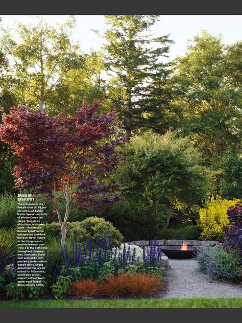 Dfw Landscaping Ideas, Pnw Garden Landscapes, Backyard Landscaping Native Plants, Coastal Gardens New Zealand, Nz Native Garden Landscape Design New Zealand, Contemporary Wildlife Garden, Have Inspiration, Woodland Garden, Home Landscaping