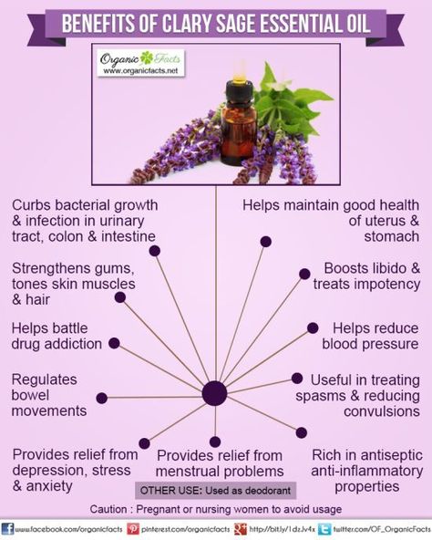 Health Benefits of Clary Sage Essential Oil | Organic Facts- Health benefits of Clary Sage Essential Oil can be attributed to its properties as an antidepressant, anticonvulsive, antispasmodic, antiseptic, aphrodisiac, astringent, bactericidal, carminative, deodorant, digestive, emenagogue, euphoric, hypotensive, nervine, sedative, stomachic and uterine substance. Clary Sage Essential Oil, Oil Remedies, Sage Oil, Essential Oils Health, Yl Essential Oils, Sage Essential Oil, Living Modern, Essential Oil Benefits, Living Essentials Oils