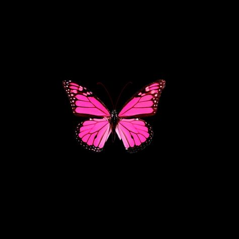 Pink Widget Black Background, Pink Grunge Aesthetic, Hot Pink Butterfly, Pink Jellyfish, Y2k Icons, Space Icons, Love Pink Wallpaper, Pink Fish, Emoji Photo