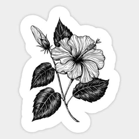 Vector drawing of hibiscus flower based on my original sketch. -- Choose from our vast selection of stickers to match with your favorite design to make the perfect customized sticker/decal. Perfect to put on water bottles, laptops, hard hats, and car windows. Everything from favorite TV show stickers to funny stickers. For men, women, boys, and girls. Hibiscus Flower, Vector Drawing, Summer Design, Hibiscus Flowers, Cool Walls, Party Design, Hard Hats, Car Windows, Funny Stickers