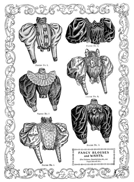 Fancy Victorian blouse styles, the sleeves were nicknamed 'mutton sleeves' for their visual similarities to a mutton chop.As women's dresses became more streamlined with smaller waists and hips (but a... Bella Epoque, Types Of Clothing, Belle Epoque Fashion, Era Victoria, Victorian Era Fashion, 1890s Fashion, Victorian Blouse, Fashion Clipart, Fashion Book