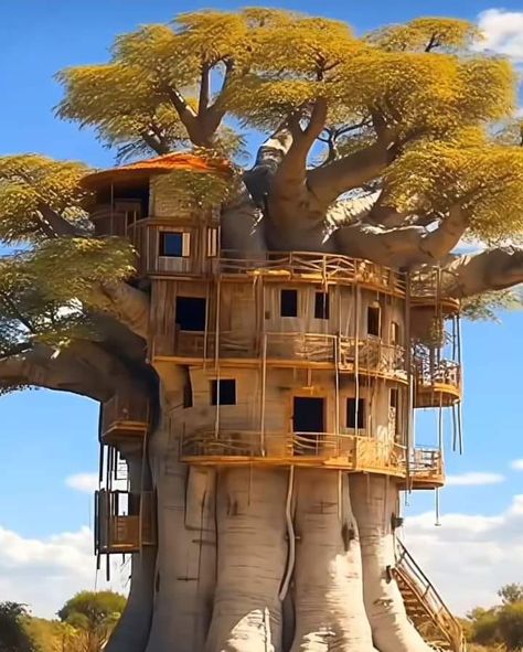 .... I Love Nature | Beautiful Tree house Treehouse Homes, Luxury Tree Houses, Beautiful Tree Houses, Downstairs Bedroom, Weird Trees, Rural Development, Fairytale House, Cool Tree Houses, Tree House Designs