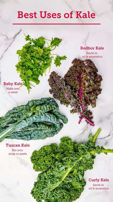 What to do with Kale - BettyCrocker.com Best Way To Eat Kale, Baby Kale Recipes, How To Prepare Kale How To Cook, Cooking Kale On Stove, Kale Benefits, How To Make Kale Taste Good, Kale Nutrition Facts, Types Of Kale, Kale Vegetable