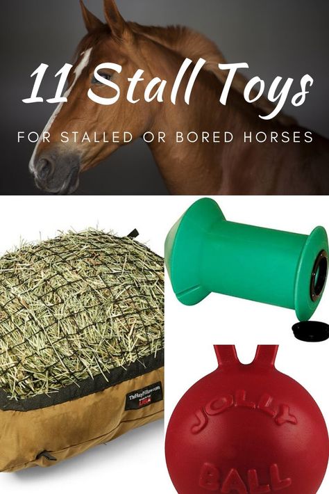 Stall toys for horses - keep your bored or stalled horse entertained when they can't be turned out. Stall Ideas For Horses, Bored Horse Toys Diy, Horse Stall Toys Diy, Diy Horse Stalls Toys, Things For Horses, Toys For Donkeys, Diy Toys For Horses, Diy Horse Enrichment Toys, Horse Stall Enrichment