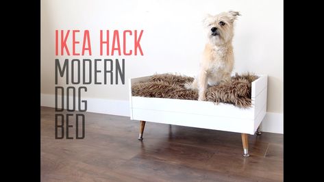 The Ultimate Collection of IKEA Hacks For Pets - The Cottage Market Ikea Pet Hacks, Ikea Hack Lit, Pet Crate Furniture, Ikea Dog, Dog Bed For Small Dogs, Modern Dog Bed, Ikea Cat, Diy Dog Beds, Cama Ikea