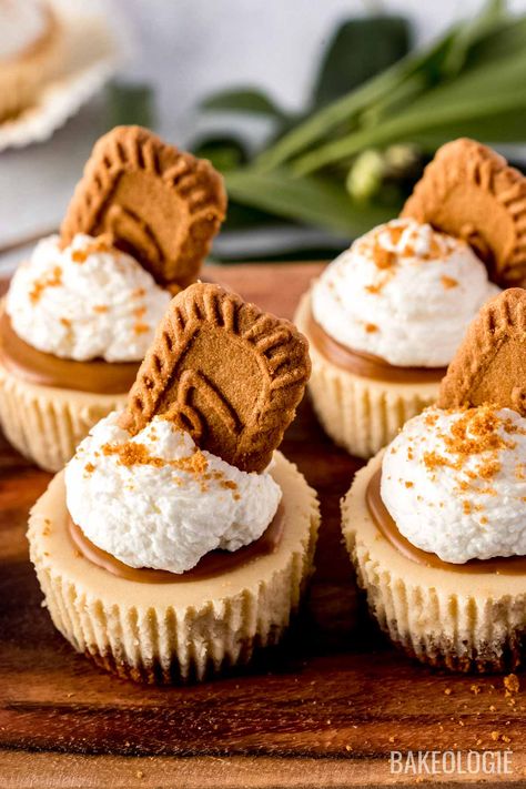 Mini Biscoff Cheesecake, Large Cheesecake, Healthy Baking Alternatives, Sugar Free Pastries, Easy Mini Cheesecake Recipe, Individual Cheesecakes, Biscoff Cheesecake, Cheesecake Toppings, Dessert Bites