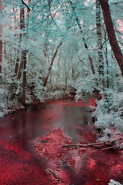 Red River Aesthetic, Blood In Snow Aesthetic, Teal And Red Aesthetic, Blood In The Snow, Blood In Snow, Blood Astethic, Blood On Snow, Blood River, Blood In The Water