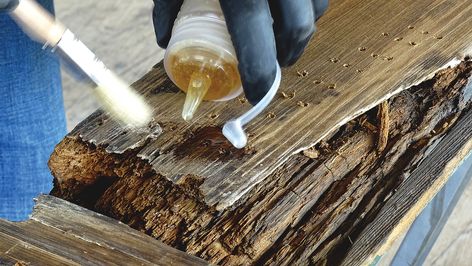 Wood Rot: How to Identify and Repair » The Money Pit Repair Rotted Wood, Garage Storage Inspiration, Restore Wood, Wood Repair, Porch Columns, Money Pit, Wood Filler, Wood Windows, Exterior Trim