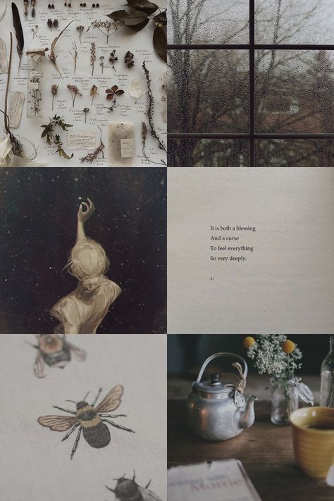 Hufflepuff Aesthetic, Infj Mbti, Library Aesthetic, Infj Personality, Dark Academia Aesthetic, Aesthetic Collage, Character Aesthetic, Coraline, Infp