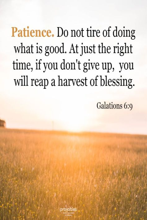 Amen! Click pics to print Bible Verse, Daily Blessings, Affirmations, Prayers, and Inspirational Quotes. Sunday Quotes Inspirational Bible, Sunday Scripture Quotes, Farm Signage, Amish Proverbs, Scripture Board, Pics To Print, Sunday Scripture, Bible Verse Daily, Farm Quotes