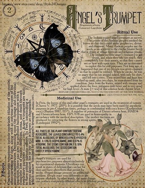 Journal Witchcraft, Arte Jazz, Plant Kingdom, Home Plants, Angel S, Magic Herbs, Poisonous Plants, Witch Spell Book, Herbal Magic