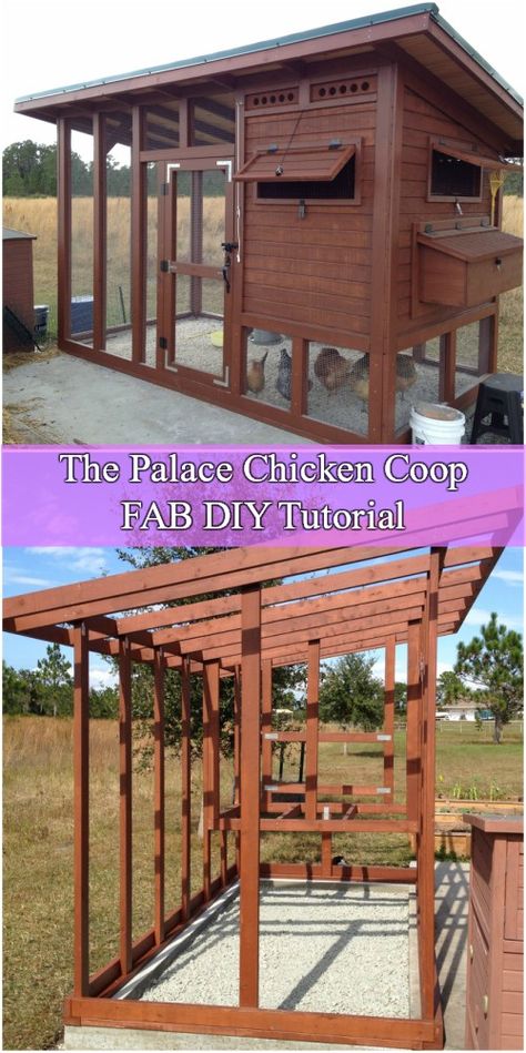 Easy Chicken Run, Chicken Run Door, Chicken House Diy, Building A Chicken Run, Chicken Coop Plans Free, Walk In Chicken Run, You Are Crazy, Walk In Chicken Coop, Chicken Barn