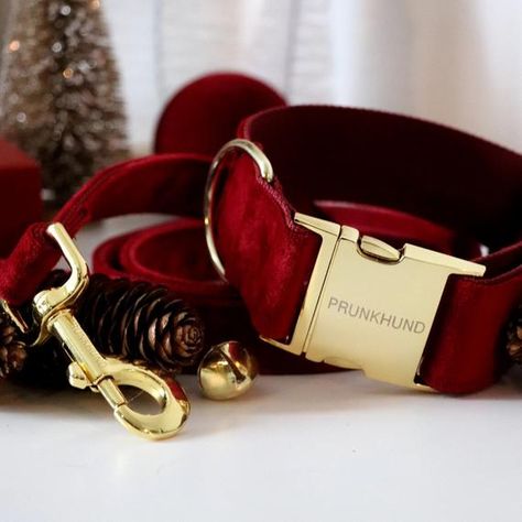 Christmas Dog Accessories, Gold Dog Collar, Velvet Dog Collar, Engraved Dog Collar, Luxury Dog Collars, Small Dog Harness, Christmas Dog Collar, Dog Collar With Name, Dog Collar Bow Tie