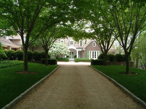 Beautiful Driveway & Entrance to a Beautiful House Residence Landscape, Beautiful Driveways, Gravel Drive, Long Driveway, Driveway Ideas, Driveway Entrance, Driveway Design, Driveway Landscaping, Long Driveways