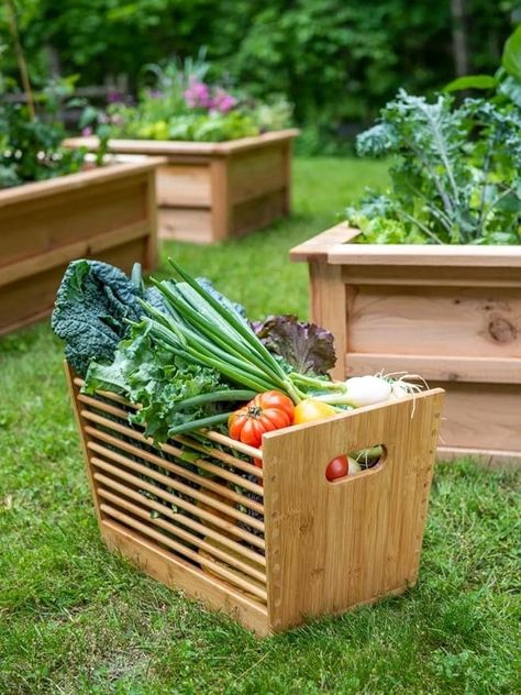 Amazon.com: Gardener's Supply Company | Bamboo Garden Stool and Storage Basket for Gathering Vegetables with Handles | Indoor and Outdoor Use | Functional and Decorative : Patio, Lawn & Garden Storing Vegetables, Harvest Basket, Bamboo Garden, Garden Seating, Garden Stool, Halloween Prints, Garden Shed, Raised Garden, Garden Supplies