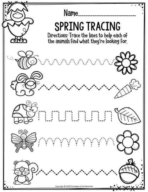 Spring Worksheets Preschool, Prewriting Worksheets, Spring Theme Preschool, Spring Preschool Activities, Kindergarten Spring, Math Literacy Activities, Spring Worksheet, Spring Kindergarten, Spring Writing