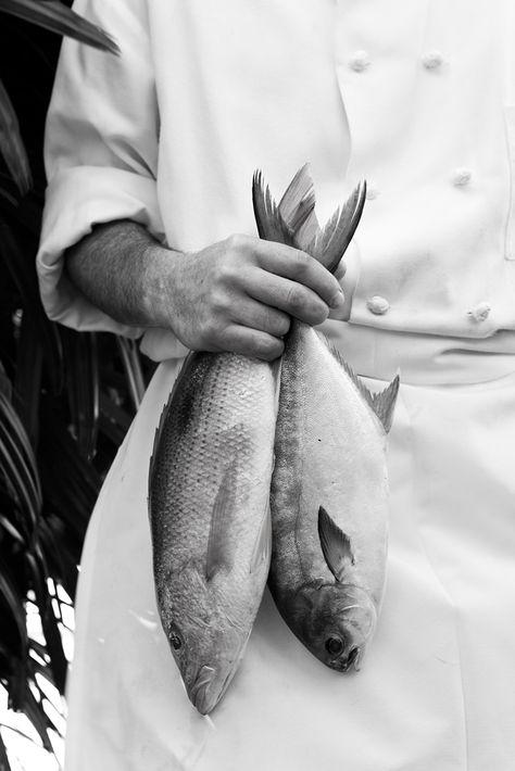 Fresh Fish Photography, Seafood Photography, Fish Food Photography, Chef Photography, Nicole Franzen, Photography Restaurant, Fish Photography, Restaurant Fish, Fish Restaurant