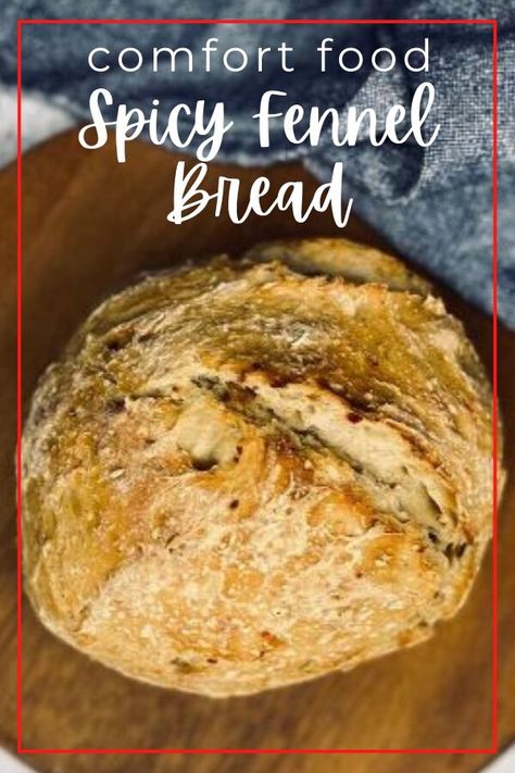 Fennel Sourdough Bread, Fennel Bread Recipe, Fennel Bread, Pesto Pasta Bake, Low Fat Cookies, Pumpkin Swirl Cheesecake, Quick Bread Recipe, Fennel Recipes, Pumpkin Spice Recipe