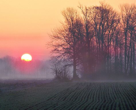 Indiana Love, Spring Morning, Dear Future, Good Morning Gif, Morning Beautiful, Beautiful Places Nature, Mountain Man, Beauty Photos, Beautiful Place