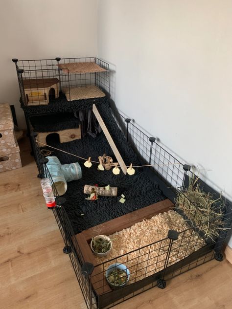 Indoor Guinea Pig Cage, Diy Bunny Cage, Indoor Rabbit Cage, Guinea Pig Cage Ideas, Diy Guinea Pig Cage, Guinea Pig Ideas, Guinea Pig Diy, Rabbit Enclosure, Pig Ideas