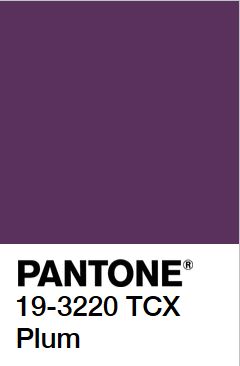 Pantone Plum #5A315D Plum Color Aesthetic, Pantone Plum, Plum Paint Colors, Plum Color Palette, Magician Archetype, Deep Autumn Palette, Plum Paint, Jewel Colours, Plum Colour