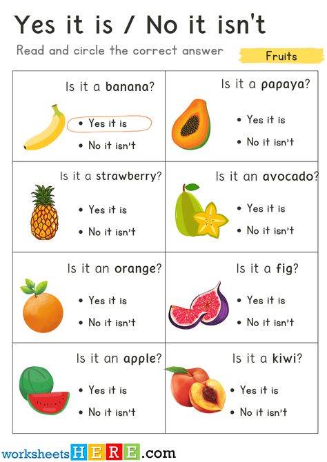 Yes No, Read and Circle Correct Answer with Fruits Pictures PDF Worksheet - WorksheetsHere.com Fruits Pictures, 4 Bananas, Crab Apples, Damson Plum, Bing Cherries, Finger Lime, Navel Oranges, Pink Banana, Fruit Picture