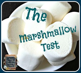 Marshmallow Test, Regulation Activities, Bible Object Lessons, Learning Patience, Counseling Lessons, Guidance Lessons, Social Thinking, School Social Work, Stephen Covey