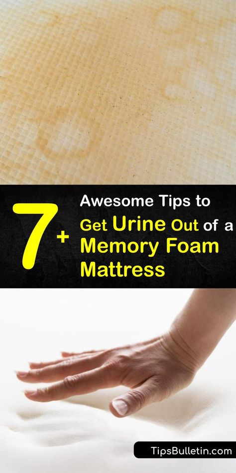 Pee Mattress Cleaning, Pee Out Of Mattress, Pee Smell Out Of Mattress, Pee On Mattress, How To Clean Mattress Stains, How To Clean Foam Mattress, Pee Stain Out Of Mattress, Get Rid Of Pee Smell On Mattress, Pee On Mattress Cleaning