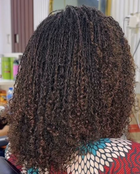 Sister Locs With Extension, Gray Microlocs, Micro Locs Curly Ends, Braidlocs Journey, Micro Loc Extensions, Mini Twists Natural Hair, Micro Braids Hairstyles, Sister Locks, African Natural Hairstyles