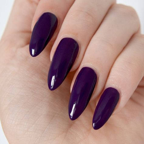 Purple Matte French Tip Nails, Dark Purple Acrylic Nails, Jewel Tone Nails, Plum Nail Polish, Plum Nails, Grunge Nails, Purple Nail, Nails Polish, Elegant Nails