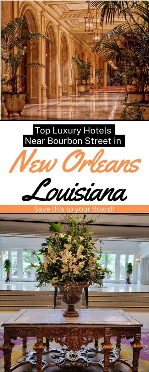 Luxury Hotels Near Bourbon Street in New Orleans (French Quarter) Welcome Amenities, French Quarter Hotels, Rooftop Yoga, Spa Retreats, Hotel Monteleone, Downtown New Orleans, Jazz Lounge, Astoria Hotel, New Orleans Hotels