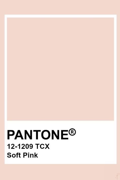 Pantone Soft Pink, Soft Pink Colour Palette, Color Swatches Pink, Light Pink Pantone, Pantone Color Swatches, Color Palette Pantone, Soft Pink Color Palette, Pink Pantone, Pantone Tcx