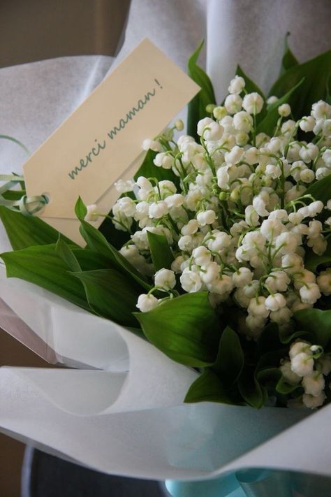 Jasmine Bouquet, Lily Of The Valley Bouquet, Pretty Flowers Photography, Fav Flower, Fresh Flower Bouquets, Jasmine Tea, Flower Boutique, Jasmine Flower, Nothing But Flowers