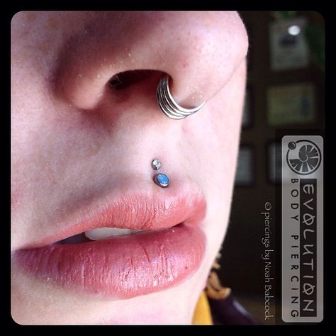 Stacked Septum, Philtrum Jewelry, Medusa Piercings, Piercing Designs, Small Septum, Piercing Guide, Medusa Piercing Jewelry, Upper Lip Piercing, Philtrum Piercing