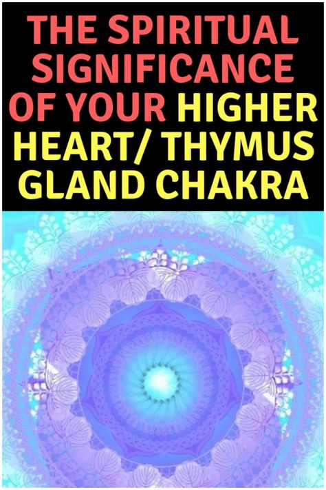 Learn the location and significance of higher heart chakra. #chakra, #thymuschakra, #higherheartchakra High Heart Chakra, Higher Heart Chakra, Thymus Gland, Vintage Tarot Cards, Anahata Chakra, Aura Healing, Vintage Tarot, Human Design System, Energy Healing Reiki