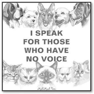 Animal Activism, Stop Animal Cruelty, Animal Advocacy, Vet Tech, Cats And Dogs, Animal Welfare, Animal Rights, Animal Quotes, Dog Quotes