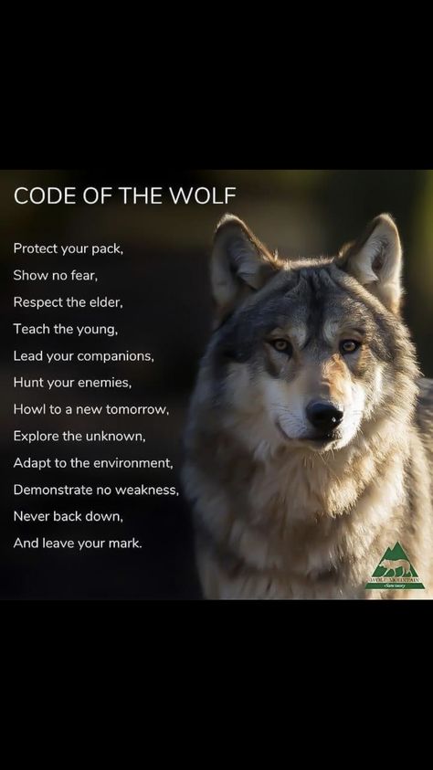 Wolves Facts, Wolf Pack Ranks, Wolf Workout, Code Of The Wolf, Wolf Code, Wolf Characteristics, Wolf Facts, Facts About Wolves, Captain Puffy