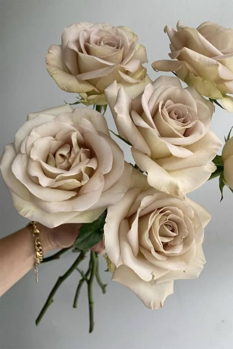 Taupe Flower Arrangements, Champagne Colored Flowers, Neutral Florals For Wedding, Cream Wedding Florals, Wedding Florals Neutral, Champagne Flowers Wedding, Neutral Flowers Wedding, Neutral Wedding Florals, Taupe Roses