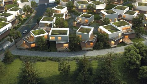 Cluster Homes, Housing Cluster Plan, Cluster Housing, Cluster Building Architecture, Clustered Architecture, Cottage Cluster Plan, Cluster Housing Concept, Incremental Housing Architecture, Cluster House