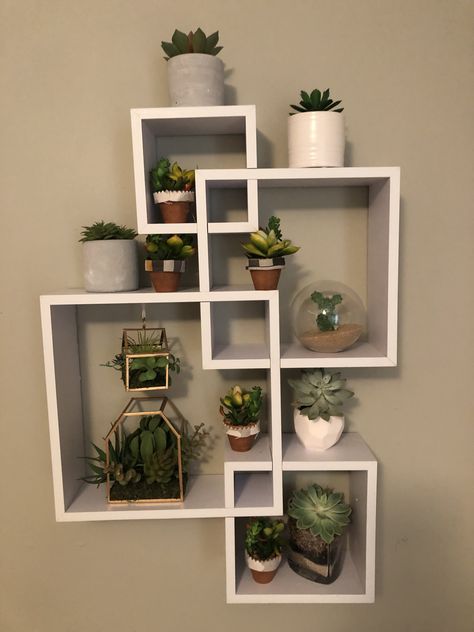 Succulent Bedroom Ideas, Succulent Inspired Bedroom, Succulent Room Ideas, Succulent Bedroom Theme, Succulent Room Decor, Succulent Themed Bedroom, Succulent Bathroom Theme, Succulents Bedroom, Succulent Bedroom