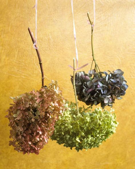 Drying Hydrangeas, Dry Hydrangeas, Flower Drying, Drying Flowers, Dried Flowers Diy, Flowers Hydrangea, Flower Farming, Preserved Hydrangea, Hydrangea Arrangements