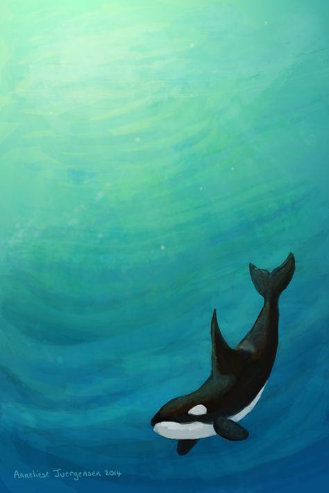 Cute Whale Painting, Acrylic Painting Whale, How To Paint A Whale, Orca Painting Acrylics, Orca Watercolor Painting, Orca Painting Easy, Whale Shark Painting Acrylic, Whale Painting Ideas, Whale Acrylic Paintings