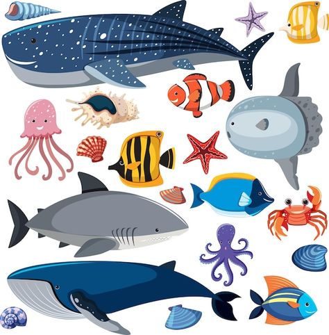 Premium Vector | Different types of sea creatures on white background Seashell Drawing, Whale Shark, Study Materials, Lessons Learned, Vector Photo, Marine Life, Sea Creatures, Different Types, Premium Vector