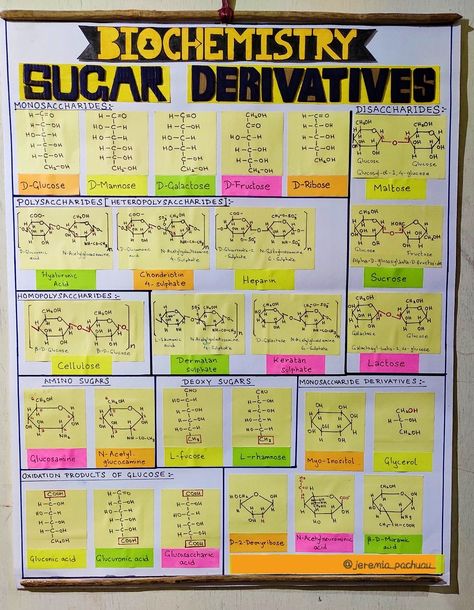 some basic Chemistry ⚗️ #fun_learning #childhood_subject 📝#how_to_prepare_chart 📌#sugar_molecules🔬📏 Chemistry Chart Ideas Class 12, Chemistry Chart Ideas, Chemistry Chart, Chemistry Class 11, Chemistry Class 12, Basic Chemistry, Chemical Kinetics, Chemistry Posters, Learn Biology