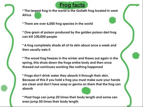 Frog Activities For Elementary, Frog Lesson Plans, Rainforest Facts For Kids, Frog Facts For Kids, Frog Facts, Frog Days Of The Week Meme, Frog Species, Green Tree Frog, Wacky Holidays