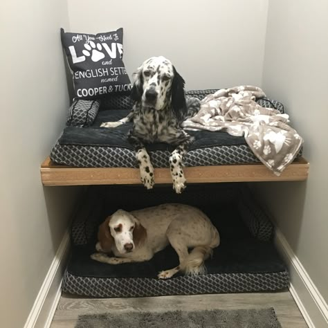 Bunk Dog Bed, Doggie Bunk Beds, Bunk Beds For Dogs, Dog With Blanket, Dog Sleeping Area Ideas, Dog Bed Next To Human Bed, Bunk Bed For Dogs, Diy Dog Bunk Bed, Closet Dog Room