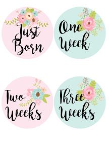 The Cozy Red Cottage: Free Baby Girl Monthly Milestone Stickers Baby Girl Stickers Free Printable, Monthly Baby Stickers Girl, Shower Activities, Baby Milestones Pictures, One Month Baby, Baby Month Stickers, Baby Boy Cards, Milestone Stickers