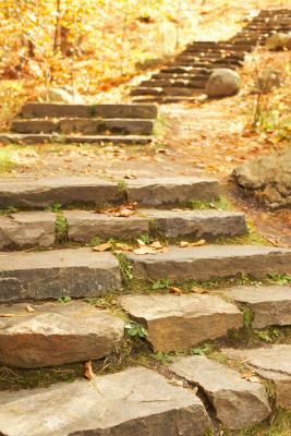 How to Make a Natural Staircase to a Garden Natural Staircase, Rock Steps, Landscape Stairs, Landscape Steps, Landscaping On A Hill, Sloped Yard, Building Stairs, Stone Steps, Garden Stairs